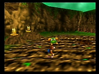 Large scan available