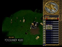 Large scan available