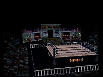 Large scan available