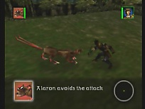 Large shot available