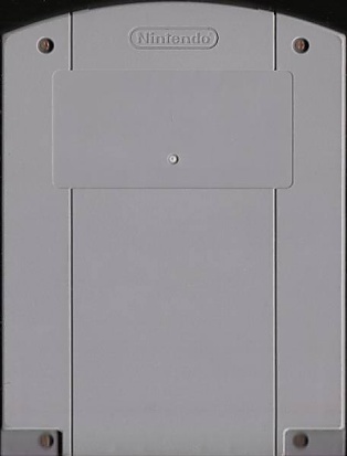 Large scan available